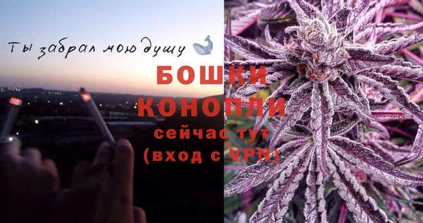 тгк Богданович